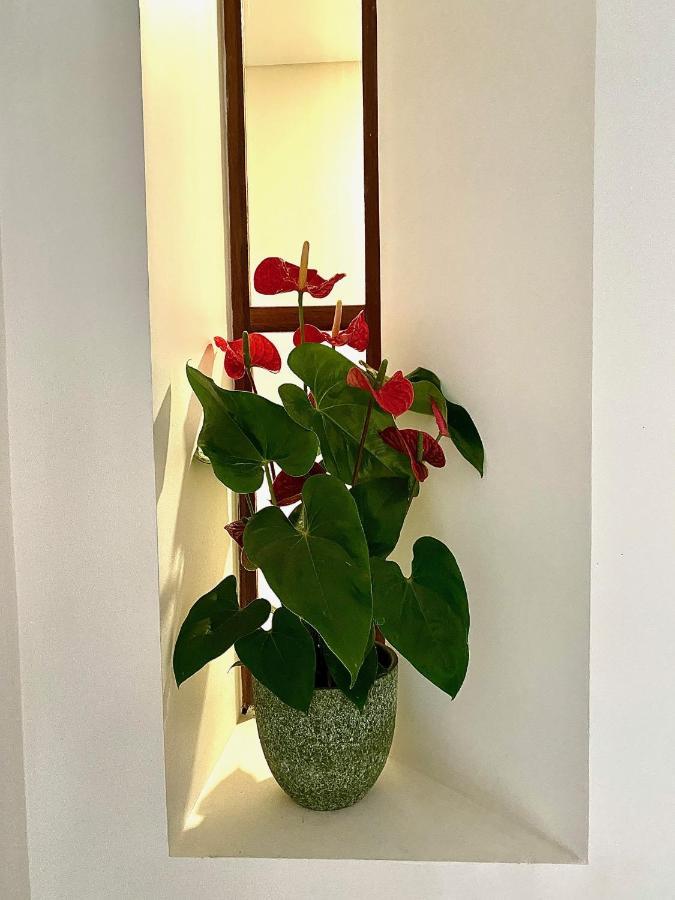 Douro B&B Avenida Resende Eksteriør bilde